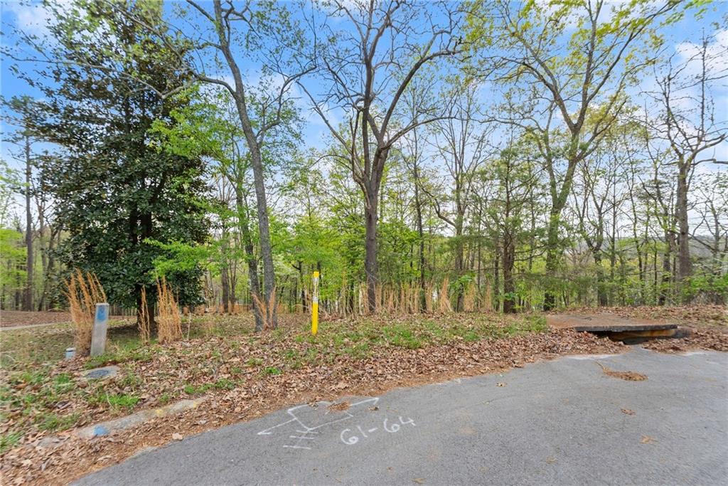 0 Thompson Ovlk Property Photo 21