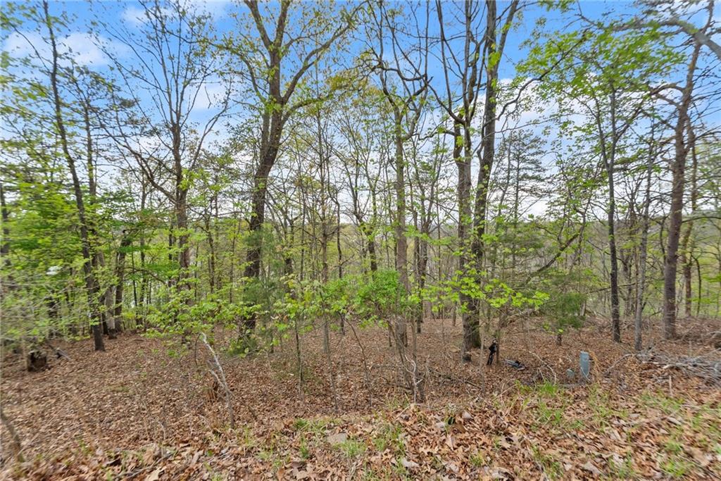 0 Thompson Ovlk Property Photo 22