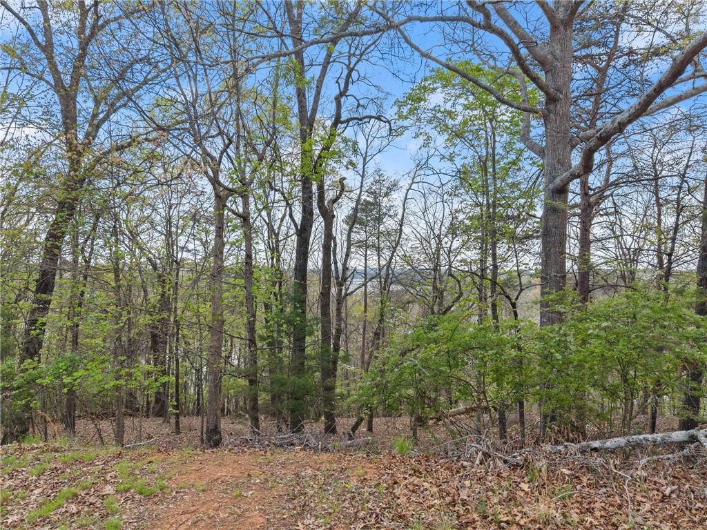 0 Thompson Ovlk Property Photo 23
