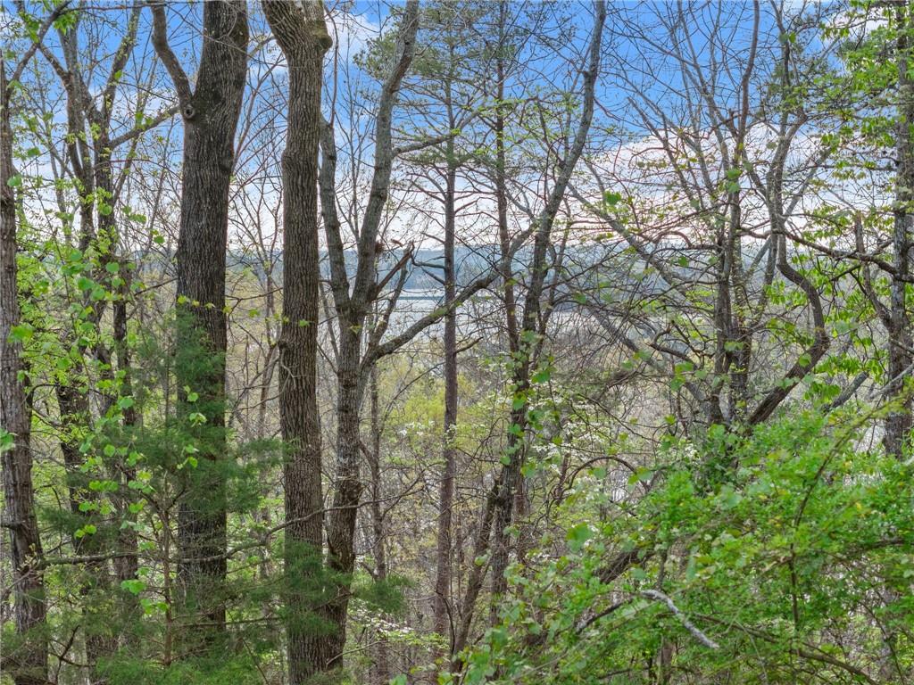 0 Thompson Ovlk Property Photo 24