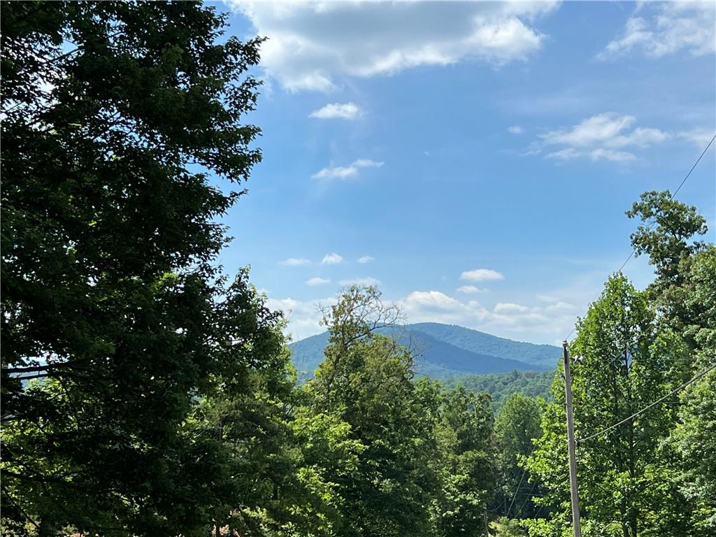 12877 Appalachian Property Photo 33