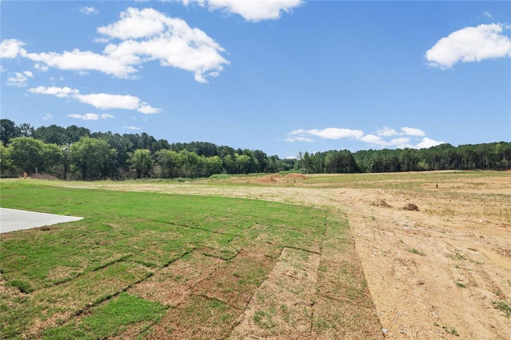 5 Tugaloo Circle Property Photo 38
