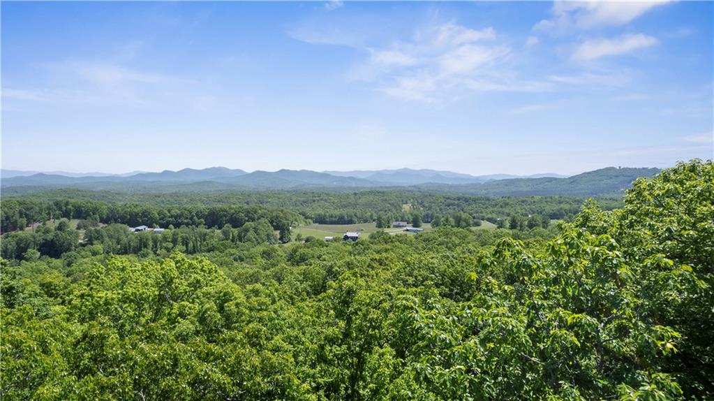 0 Brumby Run Property Photo 1