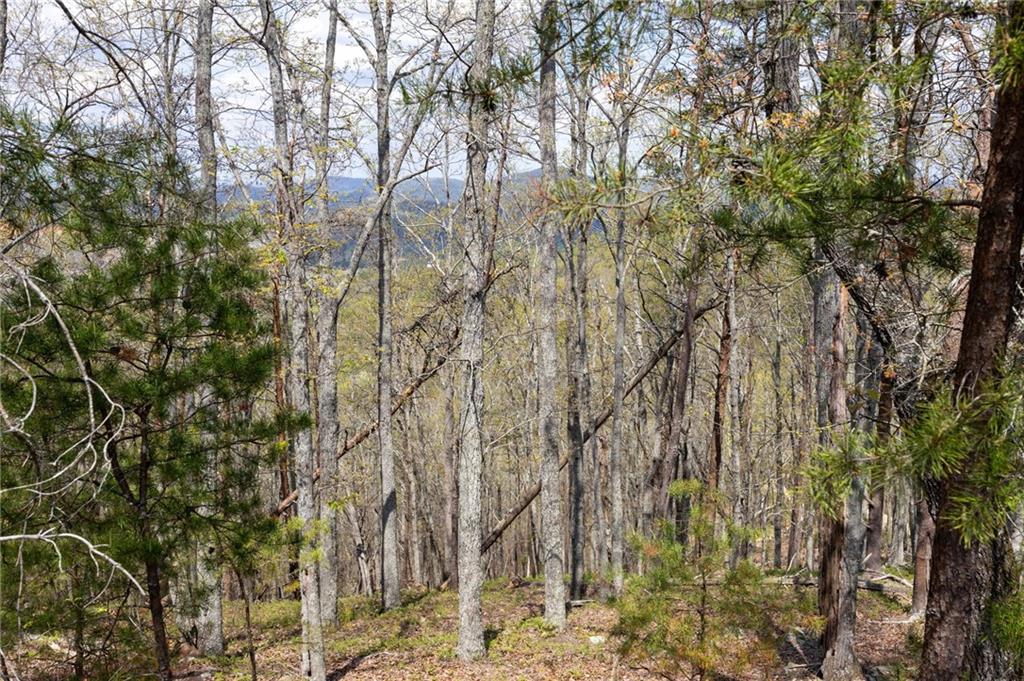 12 Signal Mountain Circle Property Photo 8