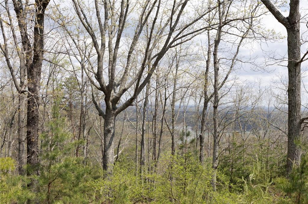 12 Signal Mountain Circle Property Photo 10
