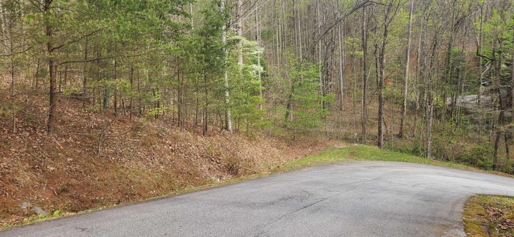 0 Yellow Trillium (lot 13) Property Photo 3
