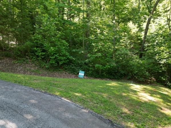 0 Yellow Trillium (lot 13) Property Photo 7