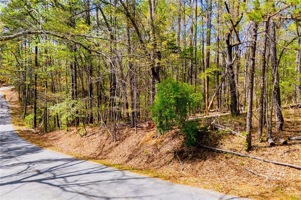6156 Belle Meade Drive Property Photo 10