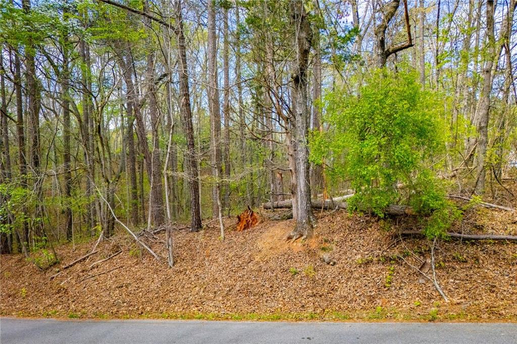 6156 Belle Meade Drive Property Photo 12