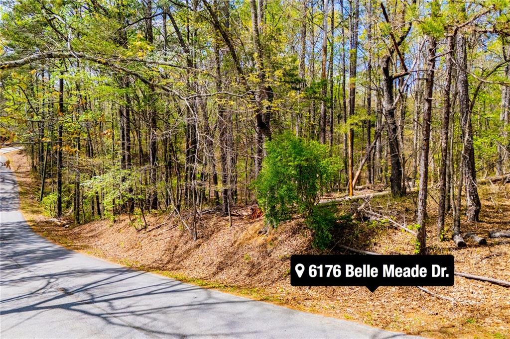 6156 Belle Meade Drive Property Photo 14