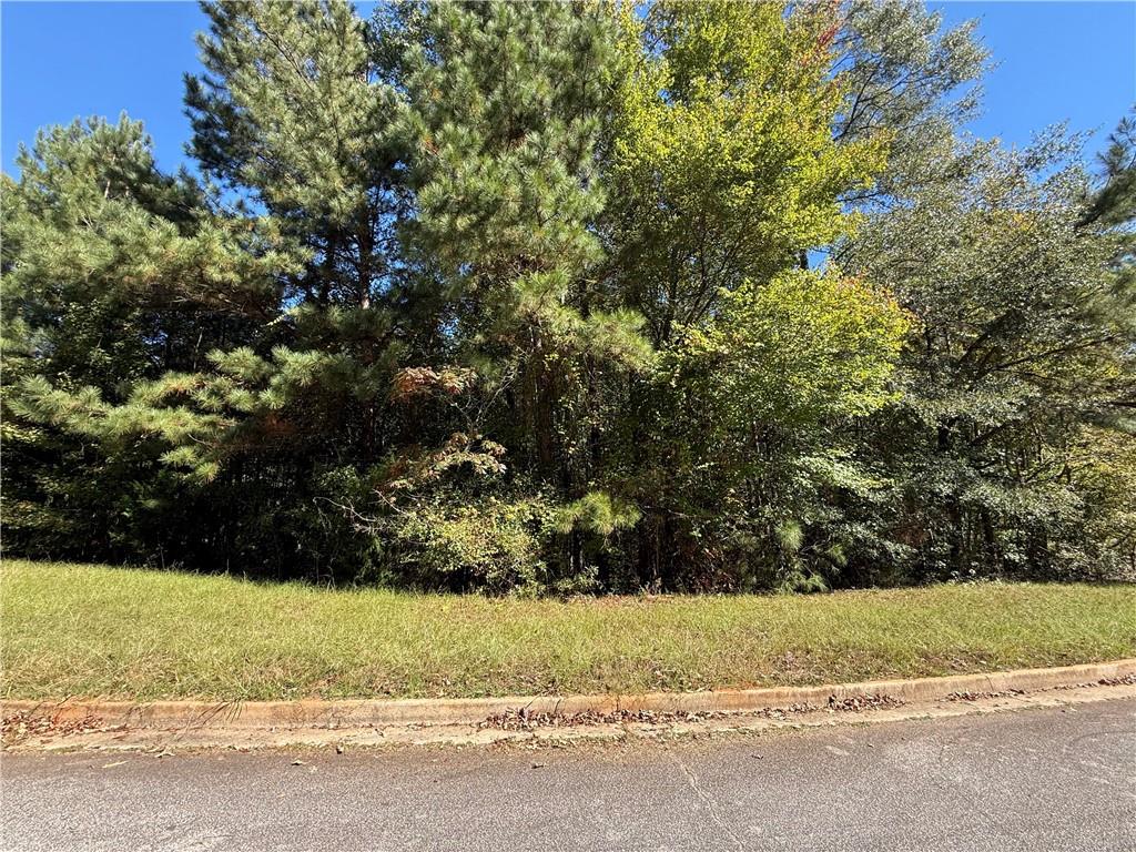1333 Nickel Oak Bend Property Photo 1