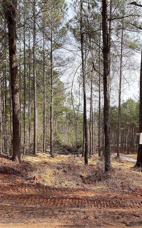 Lot 5 Jaxon Path Property Photo 1
