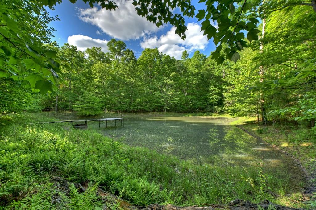 8.52 Ac Mcnelley Road Property Photo 2