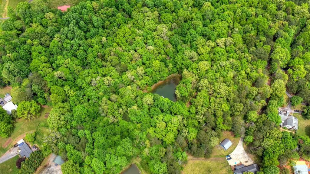 8.52 Ac Mcnelley Road Property Photo 7