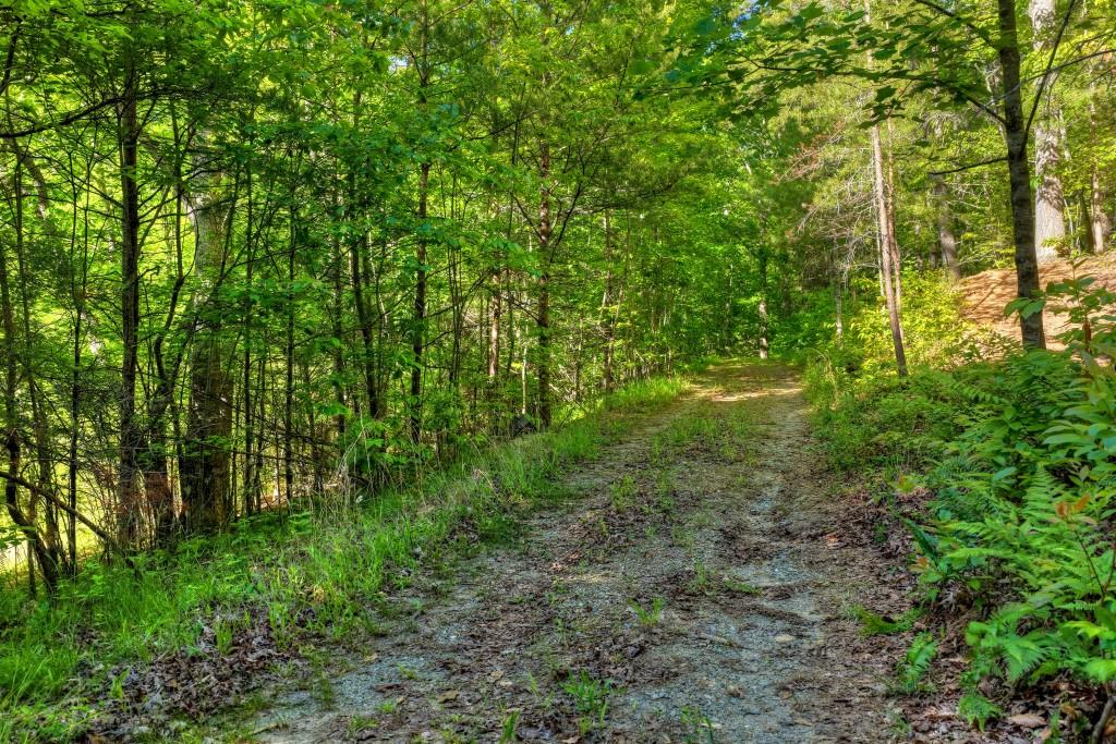 8.52 Ac Mcnelley Road Property Photo 11