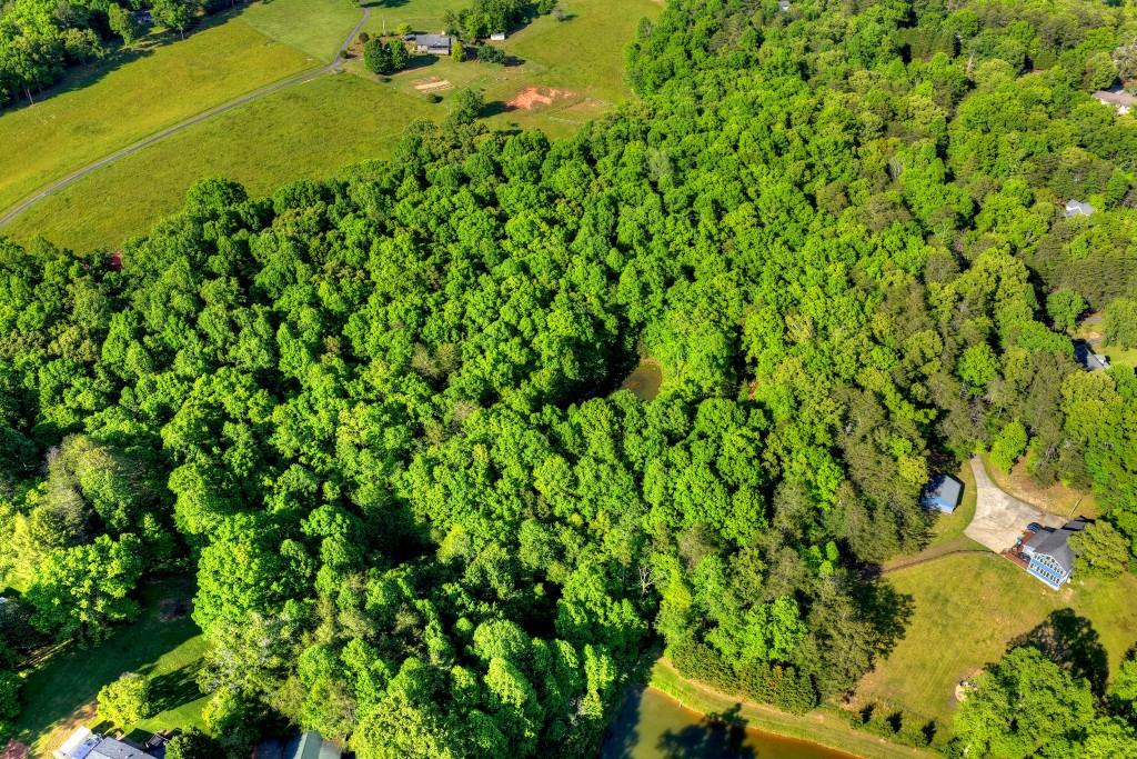 8.52 Ac Mcnelley Road Property Photo 13