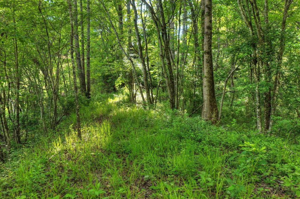 8.52 Ac Mcnelley Road Property Photo 22