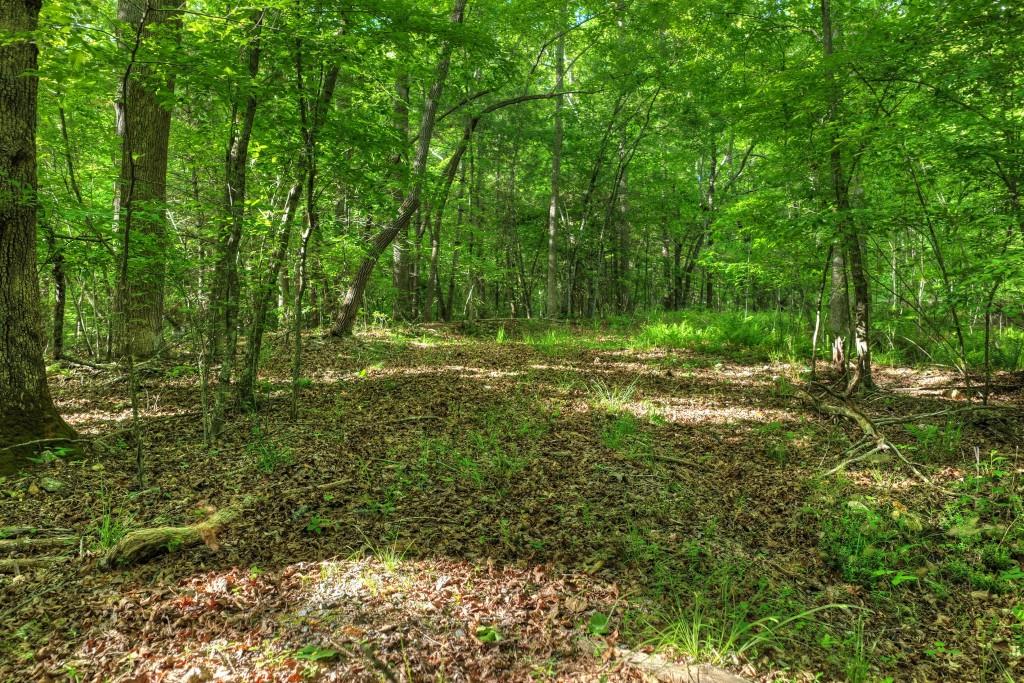 8.52 Ac Mcnelley Road Property Photo 25