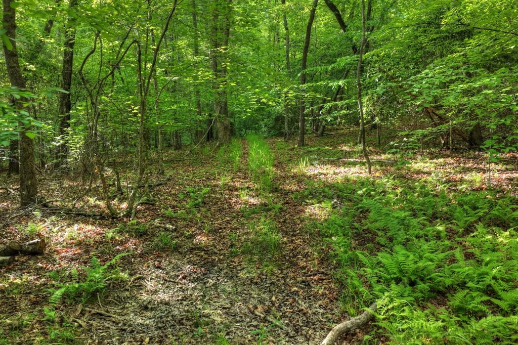 8.52 Ac Mcnelley Road Property Photo 26