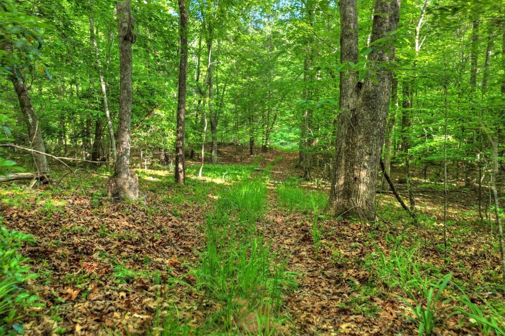 8.52 Ac Mcnelley Road Property Photo 28