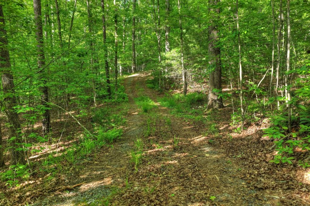 8.52 Ac Mcnelley Road Property Photo 33