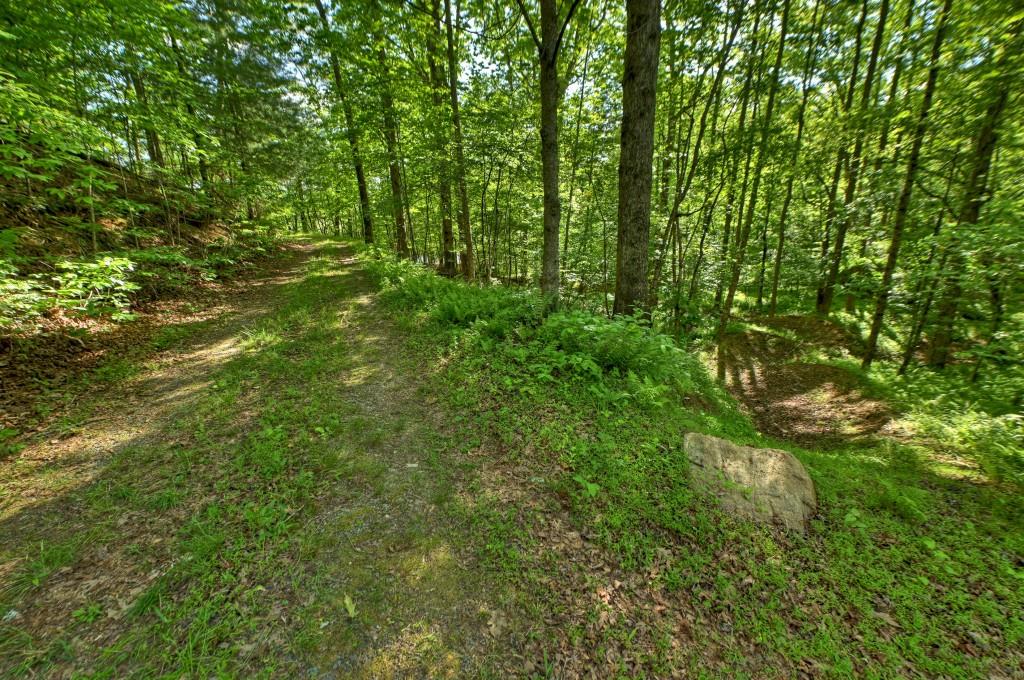 8.52 Ac Mcnelley Road Property Photo 45