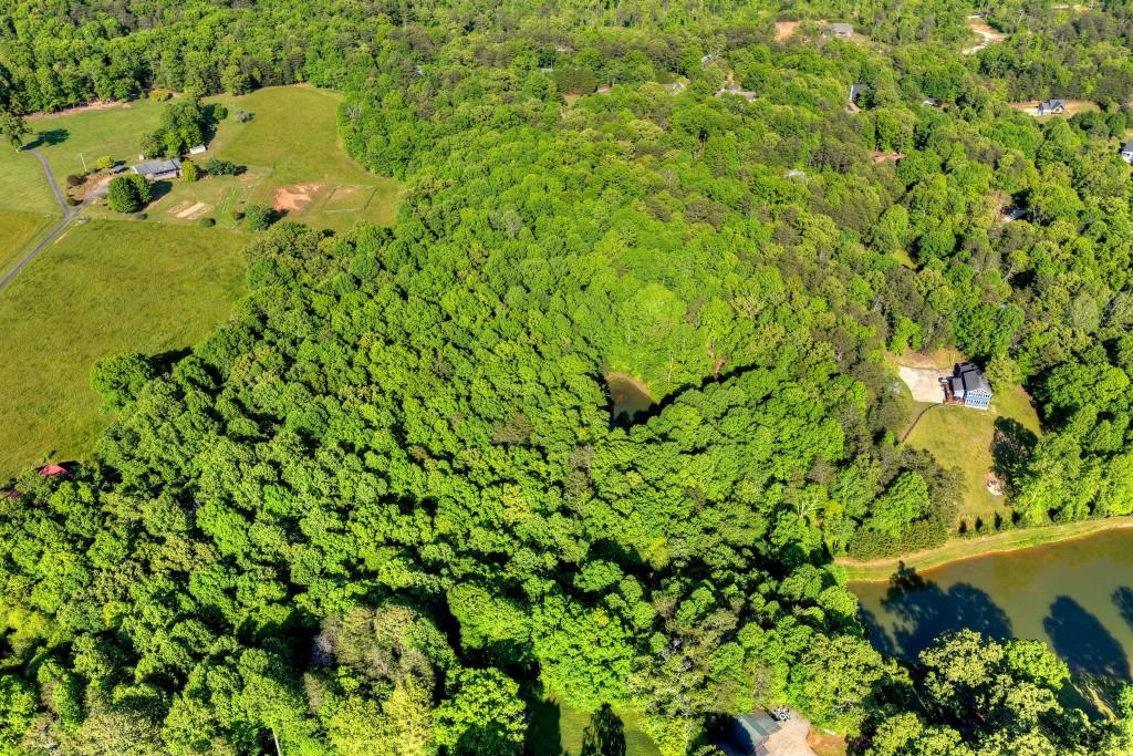 8.52 Ac Mcnelley Road Property Photo 47