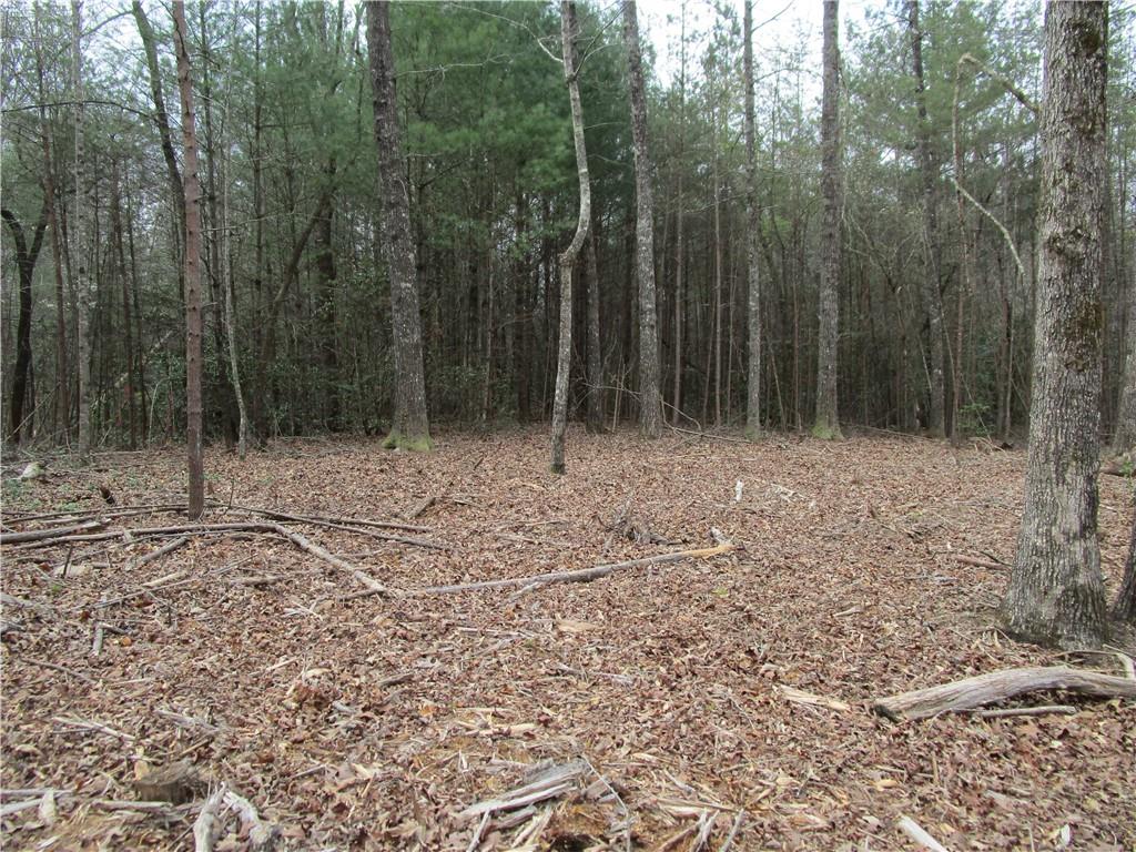 3 Ac East New Hope Road Property Photo 1