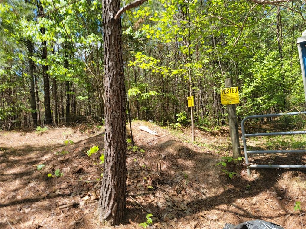 0 Hightower Falls Road Property Photo 11