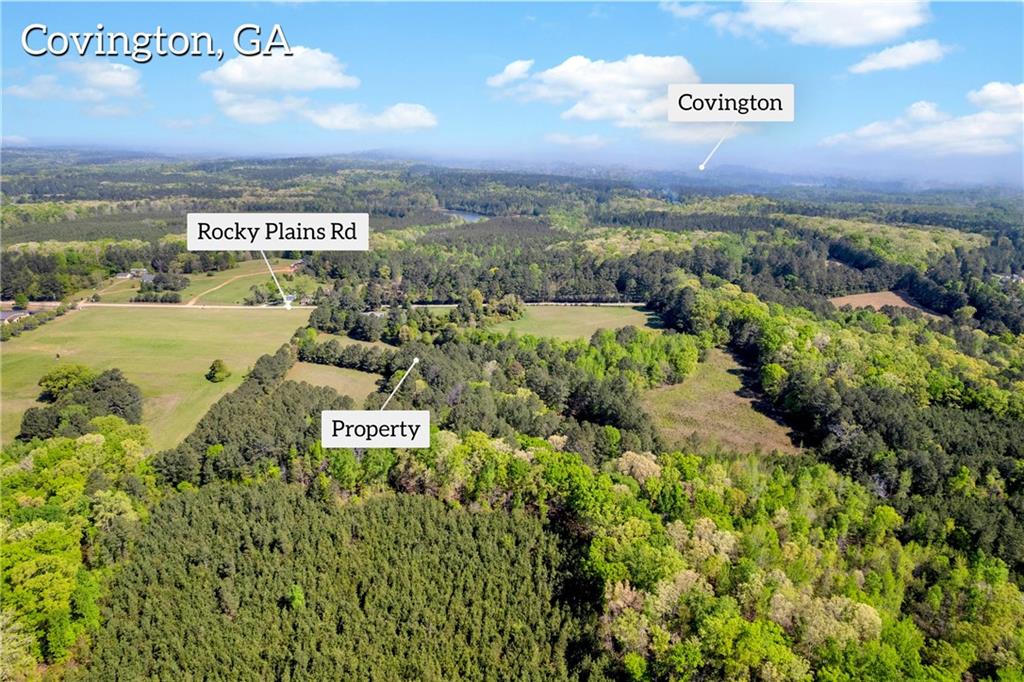 1025 Rocky Plains Road Property Photo 3