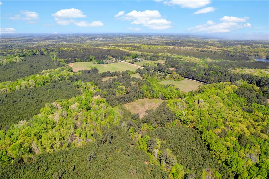 1025 Rocky Plains Road Property Photo 7