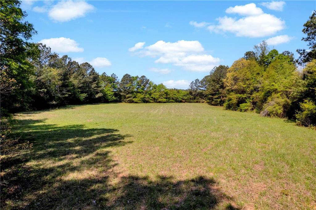 1025 Rocky Plains Road Property Photo 12
