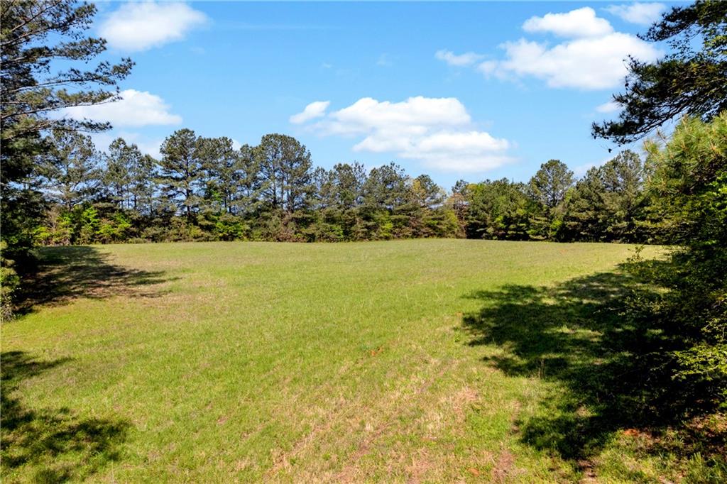 1025 Rocky Plains Road Property Photo 13