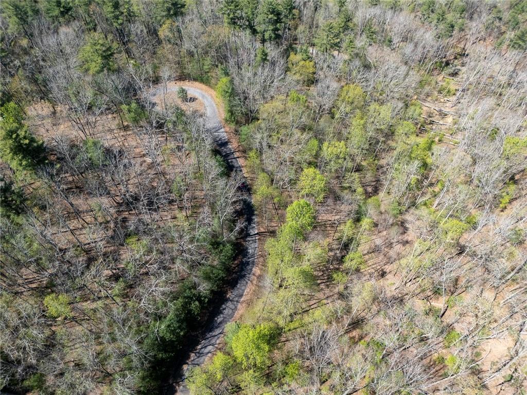 0 Laurel Trail Property Photo 1