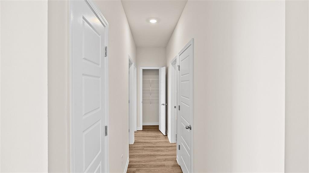 81a Lavendar Lane Property Photo 4