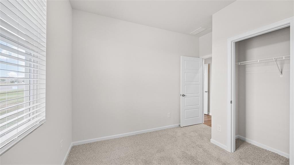 81a Lavendar Lane Property Photo 24