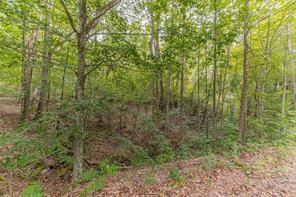 4033 Hidden Hollow Drive Property Photo 3