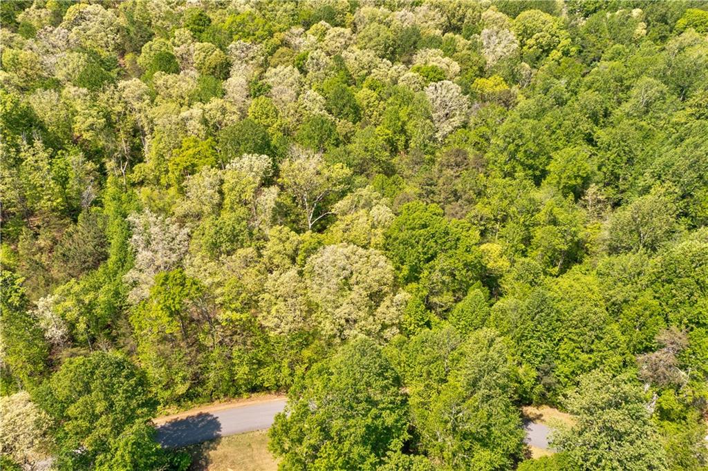 4033 Hidden Hollow Drive Property Photo 6
