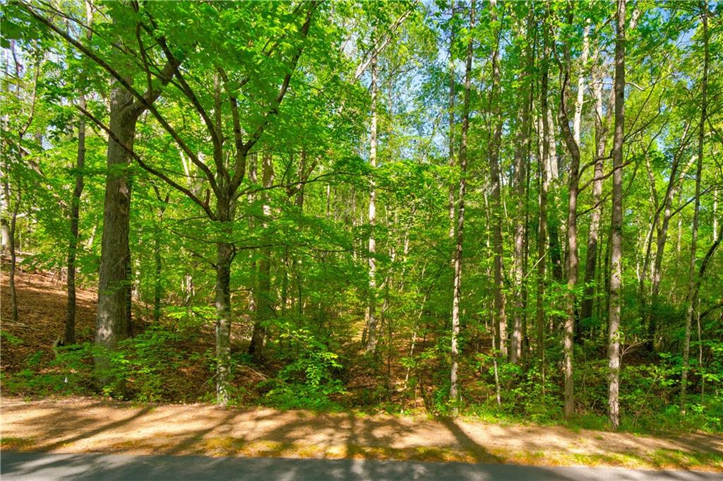 4033 Hidden Hollow Drive Property Photo 8