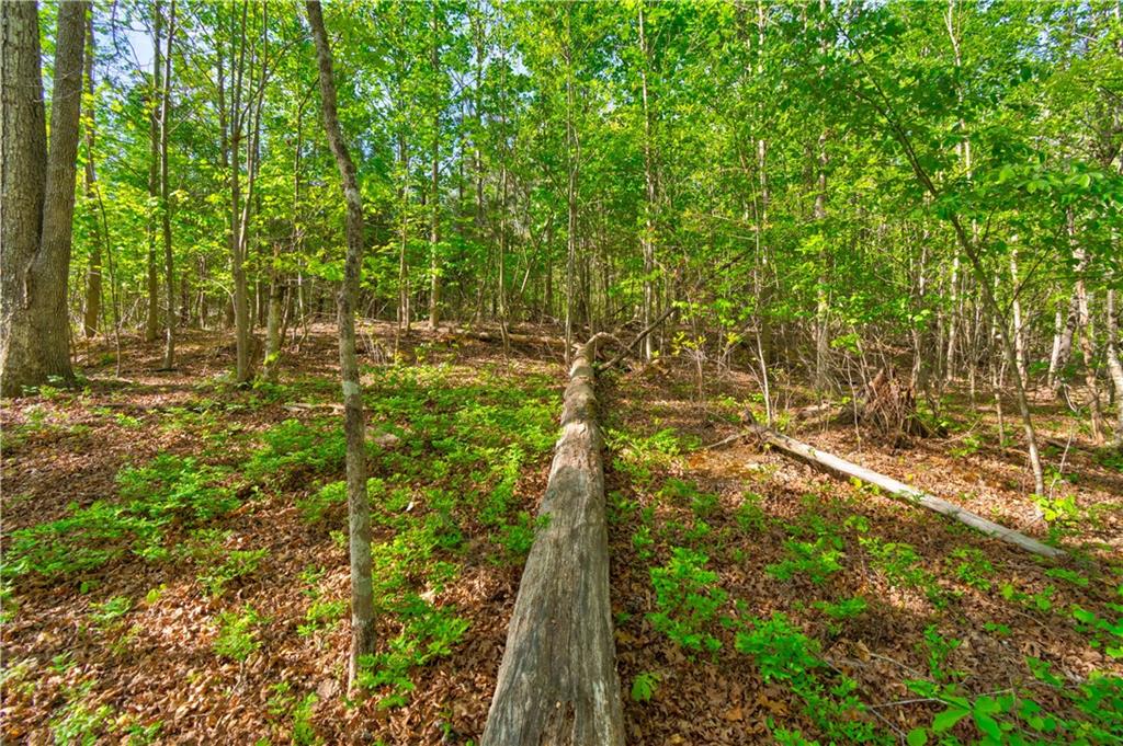 4033 Hidden Hollow Drive Property Photo 11