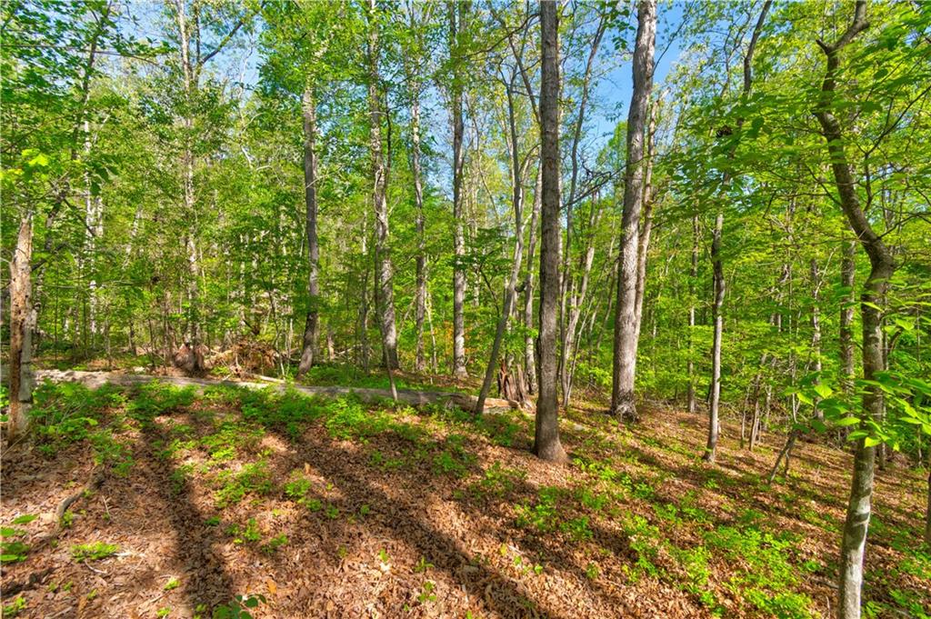 4033 Hidden Hollow Drive Property Photo 12