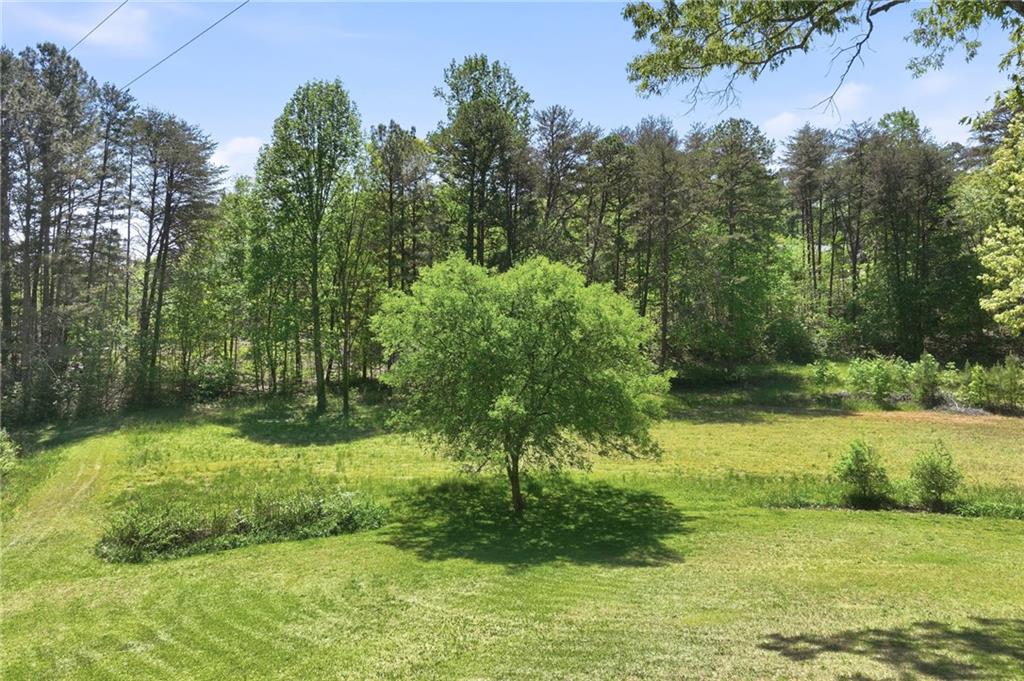 238 Currahee Circle Property Photo 41