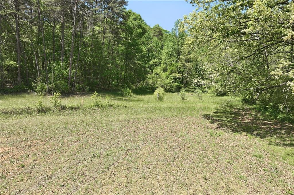238 Currahee Circle Property Photo 42