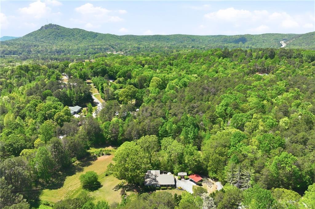 238 Currahee Circle Property Photo 44