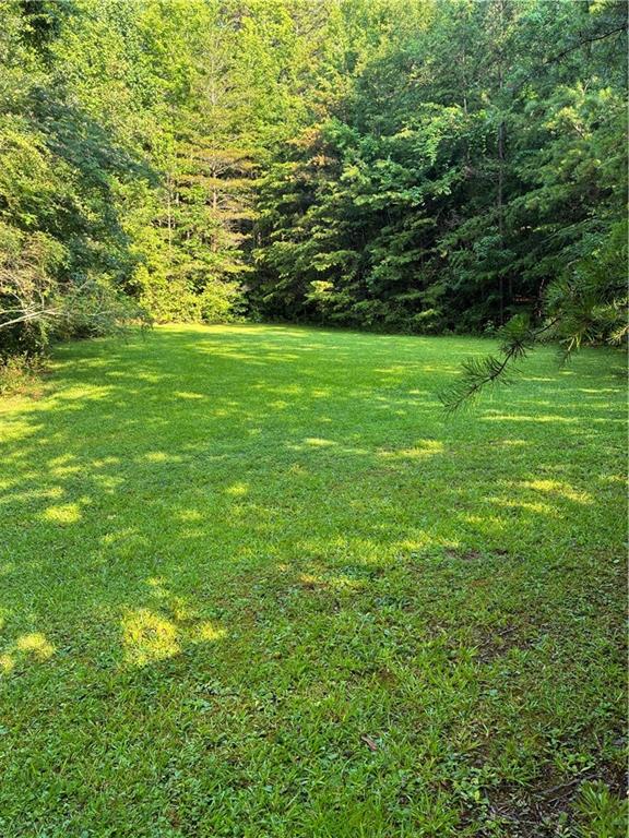238 Currahee Circle Property Photo 46