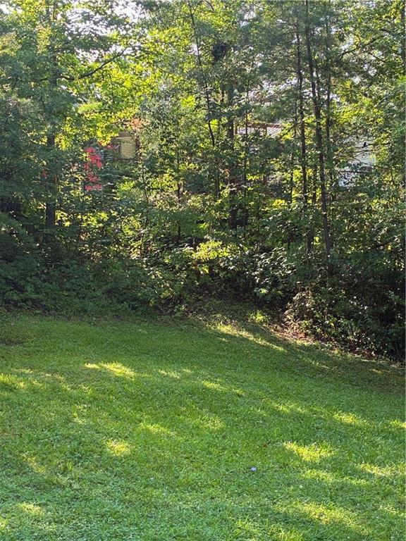 238 Currahee Circle Property Photo 48