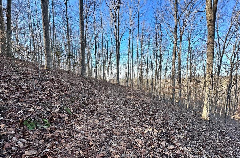 8555 Woodland Brooke Trail Property Photo 4