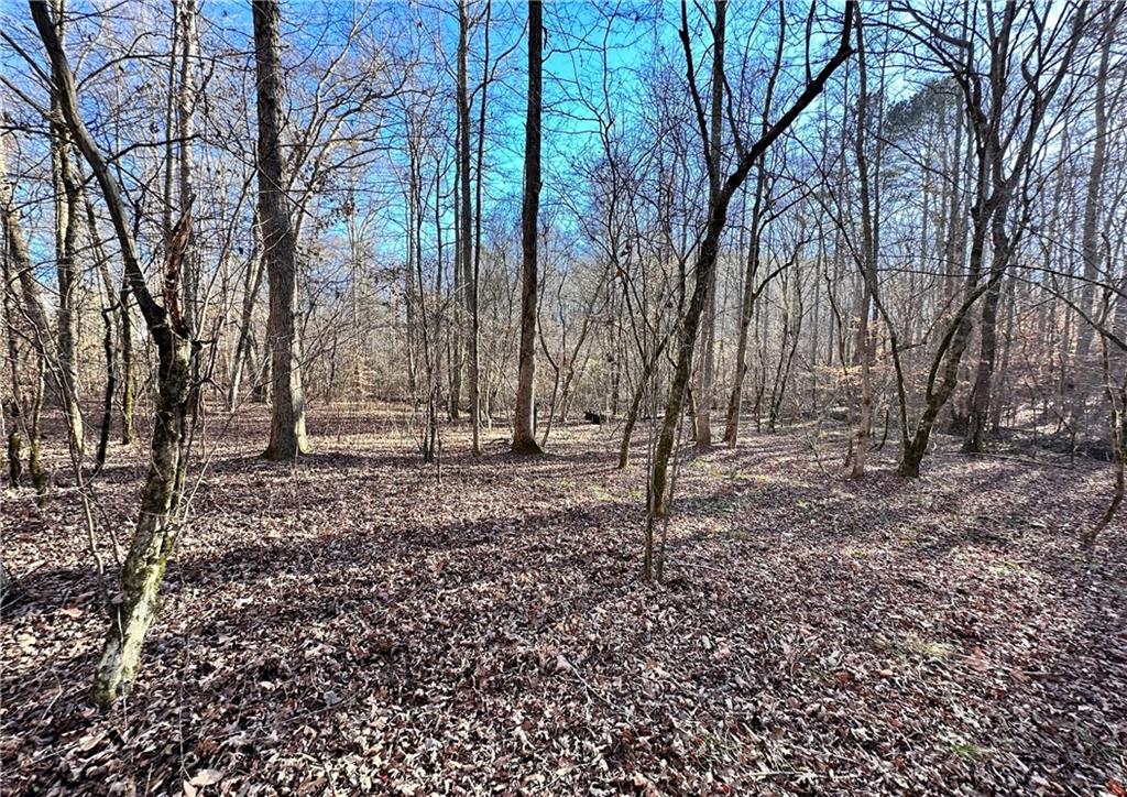 8555 Woodland Brooke Trail Property Photo 18