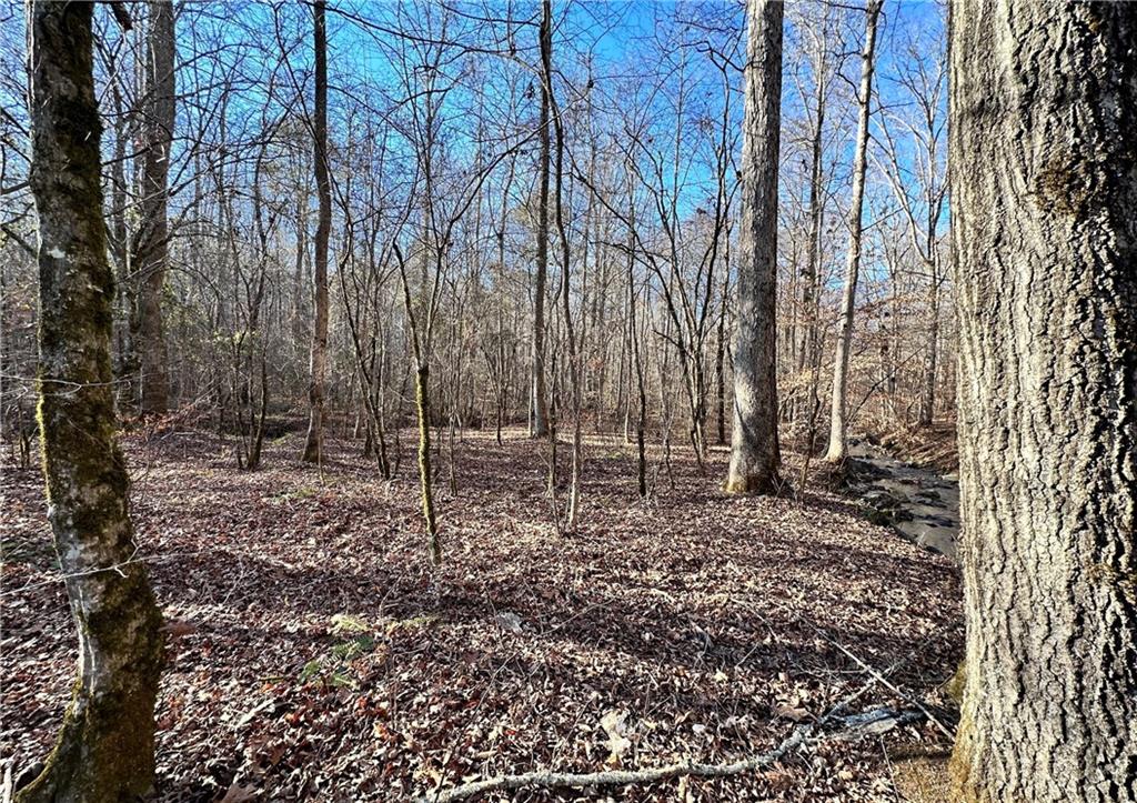 8555 Woodland Brooke Trail Property Photo 19
