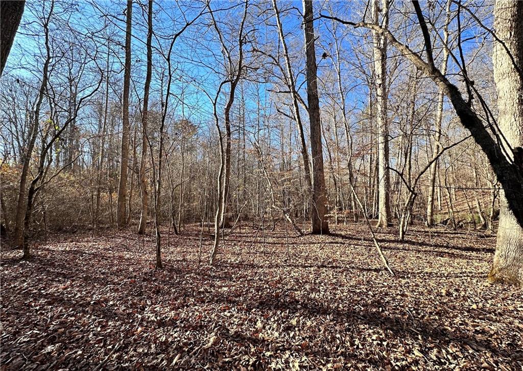 8555 Woodland Brooke Trail Property Photo 20